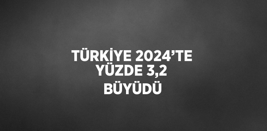 TÜRKİYE 2024’TE YÜZDE 3,2 BÜYÜDÜ