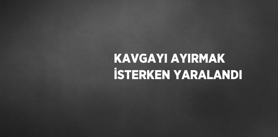 KAVGAYI AYIRMAK İSTERKEN YARALANDI