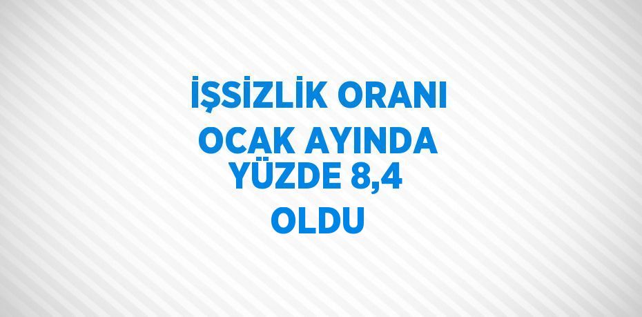 İŞSİZLİK ORANI OCAK AYINDA YÜZDE 8,4 OLDU