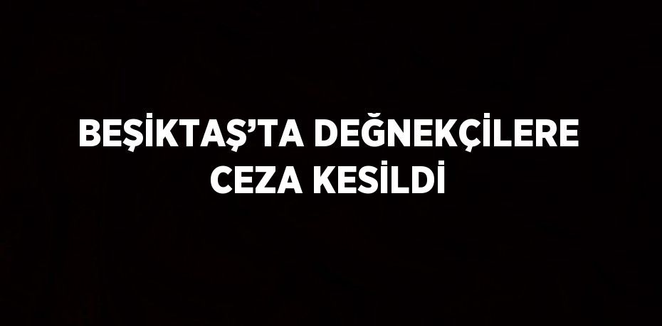 BEŞİKTAŞ’TA DEĞNEKÇİLERE CEZA KESİLDİ