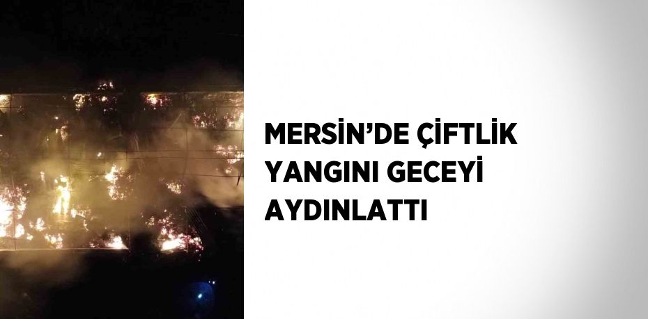 MERSİN’DE ÇİFTLİK YANGINI GECEYİ AYDINLATTI