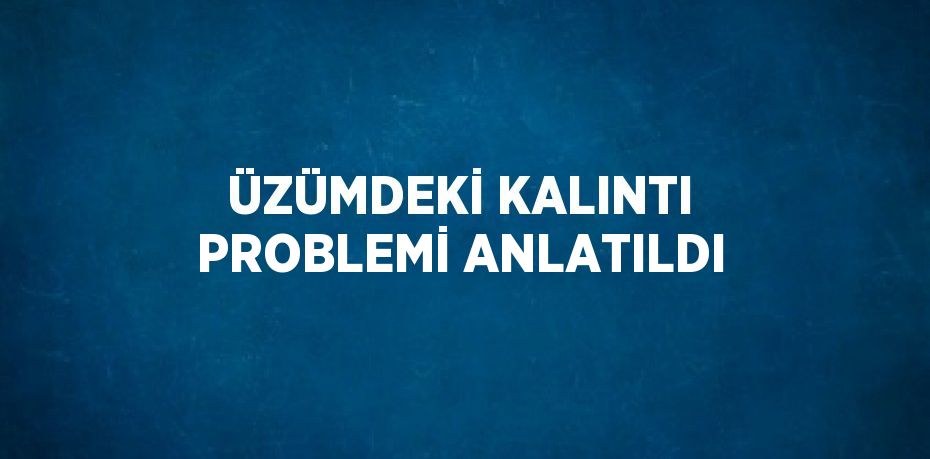ÜZÜMDEKİ KALINTI PROBLEMİ ANLATILDI
