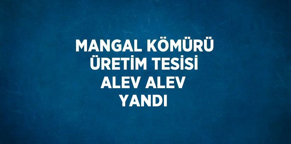 MANGAL KÖMÜRÜ ÜRETİM TESİSİ ALEV ALEV YANDI