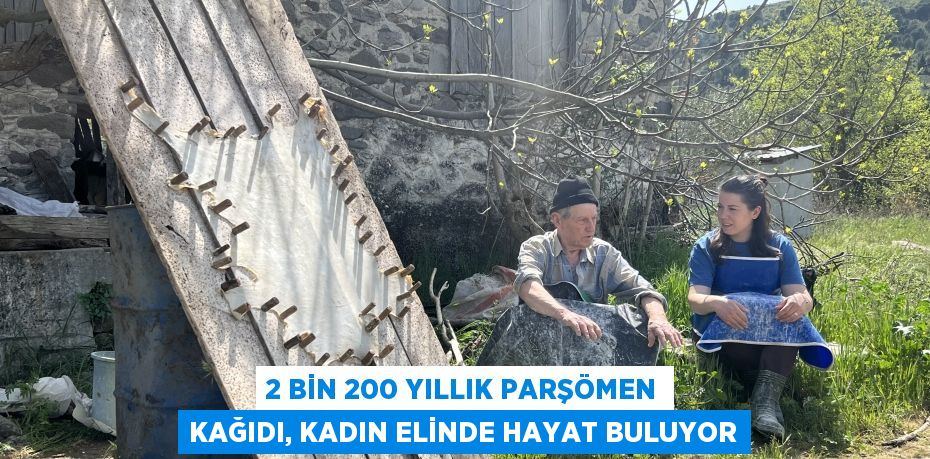 2 bin 200 yıllık parşömen kağıdı, kadın elinde hayat buluyor