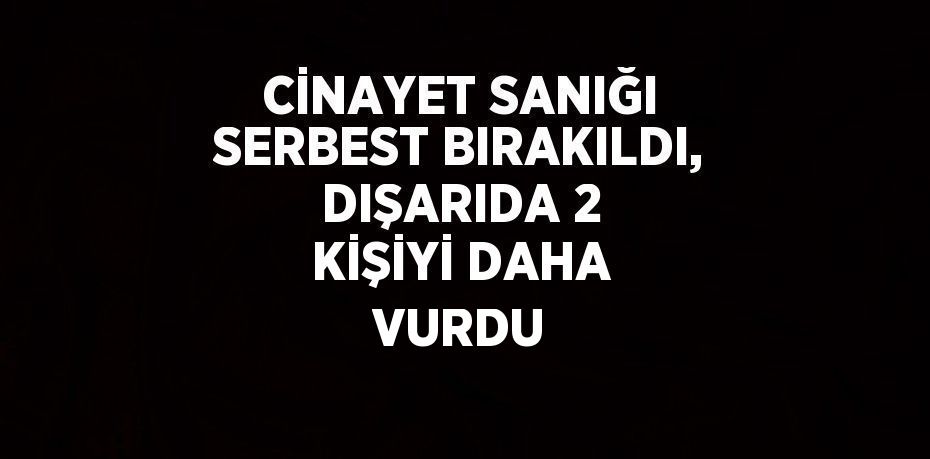 CİNAYET SANIĞI SERBEST BIRAKILDI, DIŞARIDA 2 KİŞİYİ DAHA VURDU