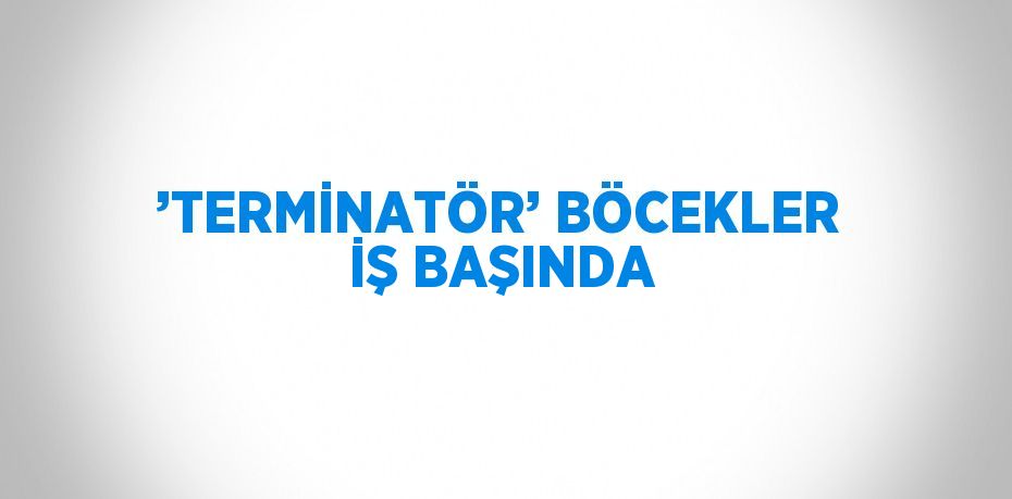 ’TERMİNATÖR’ BÖCEKLER İŞ BAŞINDA