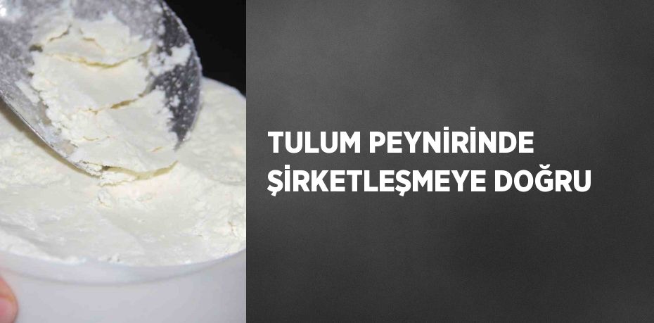 TULUM PEYNİRİNDE ŞİRKETLEŞMEYE DOĞRU