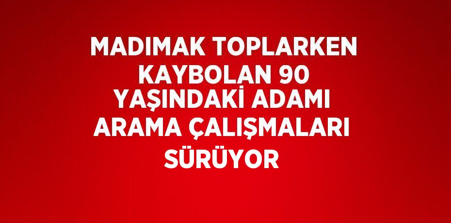 MADIMAK TOPLARKEN KAYBOLAN 90 YAŞINDAKİ ADAMI ARAMA ÇALIŞMALARI SÜRÜYOR