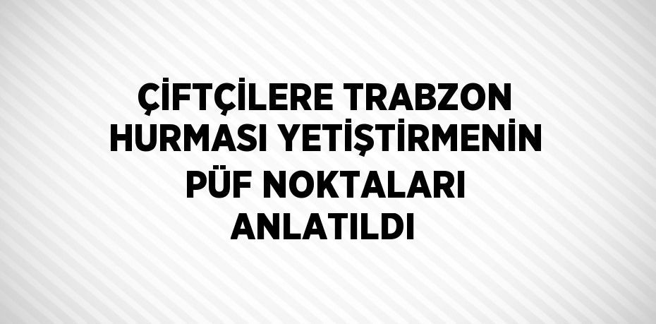 ÇİFTÇİLERE TRABZON HURMASI YETİŞTİRMENİN PÜF NOKTALARI ANLATILDI