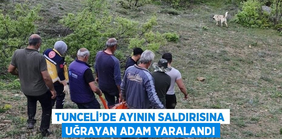 TUNCELİ’DE AYININ SALDIRISINA UĞRAYAN ADAM YARALANDI