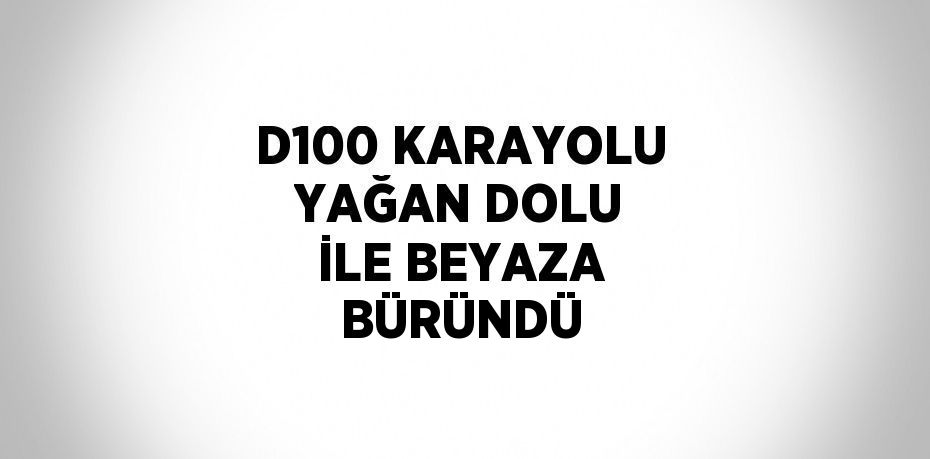 D100 KARAYOLU YAĞAN DOLU İLE BEYAZA BÜRÜNDÜ