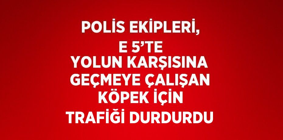 POLİS EKİPLERİ, E 5’TE YOLUN KARŞISINA GEÇMEYE ÇALIŞAN KÖPEK İÇİN TRAFİĞİ DURDURDU