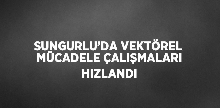 SUNGURLU’DA VEKTÖREL MÜCADELE ÇALIŞMALARI HIZLANDI