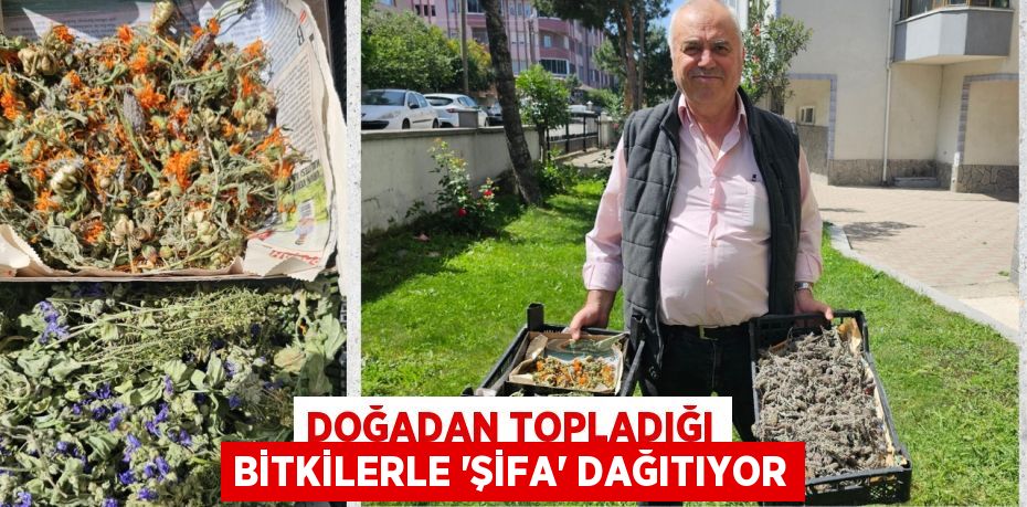 DOĞADAN TOPLADIĞI BİTKİLERLE 'ŞİFA' DAĞITIYOR