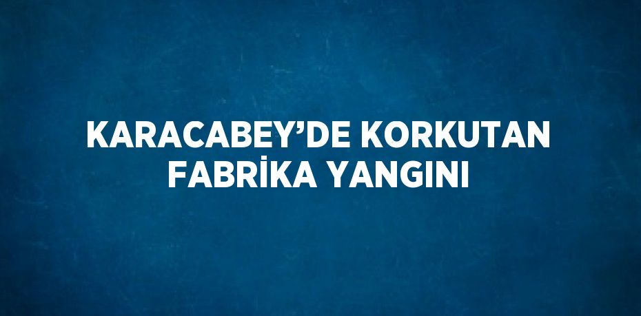 KARACABEY’DE KORKUTAN FABRİKA YANGINI