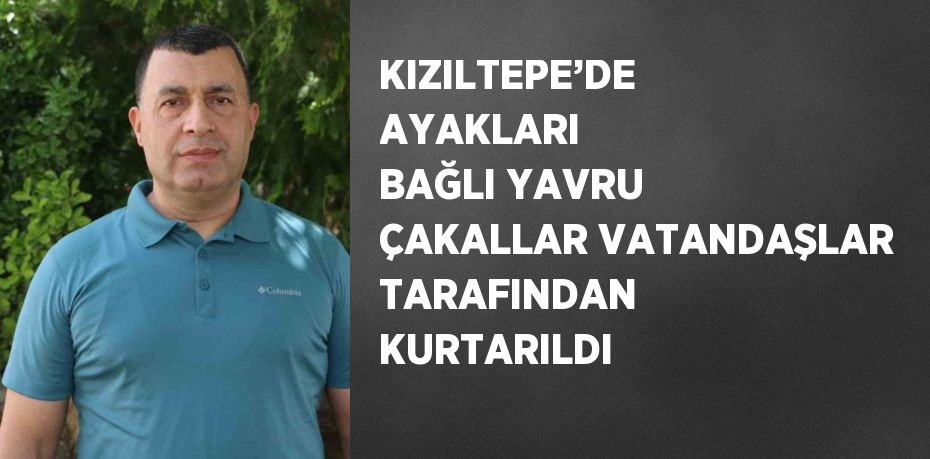 KIZILTEPE’DE AYAKLARI BAĞLI YAVRU ÇAKALLAR VATANDAŞLAR TARAFINDAN KURTARILDI