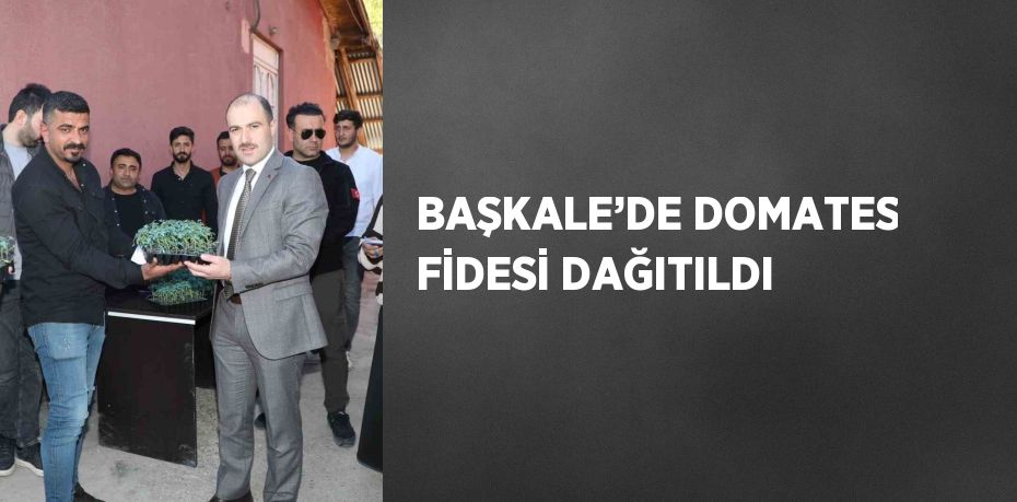 BAŞKALE’DE DOMATES FİDESİ DAĞITILDI