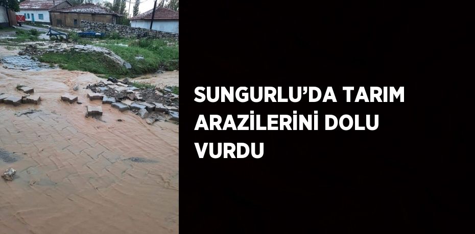 SUNGURLU’DA TARIM ARAZİLERİNİ DOLU VURDU