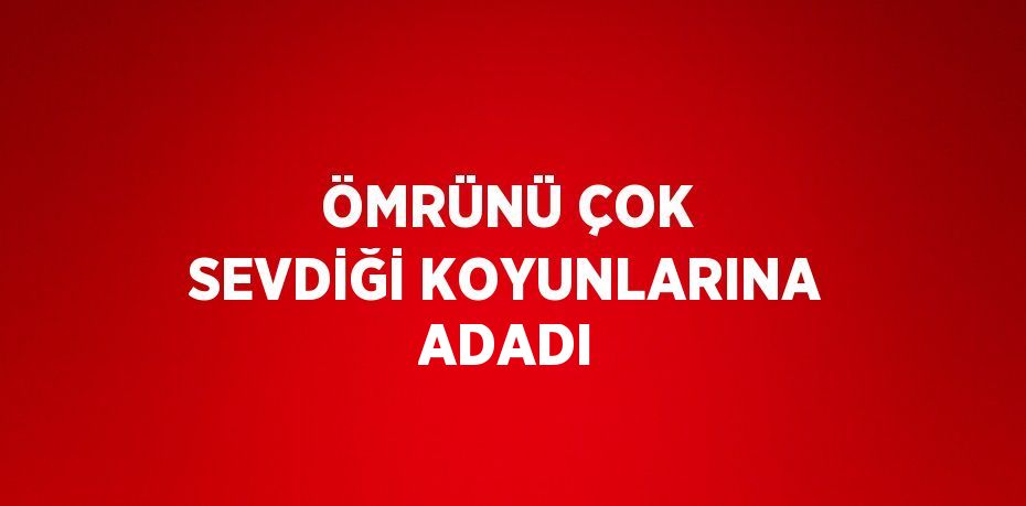 ÖMRÜNÜ ÇOK SEVDİĞİ KOYUNLARINA ADADI