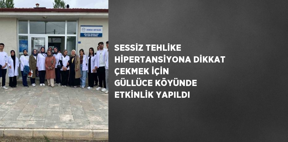 SESSİZ TEHLİKE HİPERTANSİYONA DİKKAT ÇEKMEK İÇİN GÜLLÜCE KÖYÜNDE ETKİNLİK YAPILDI