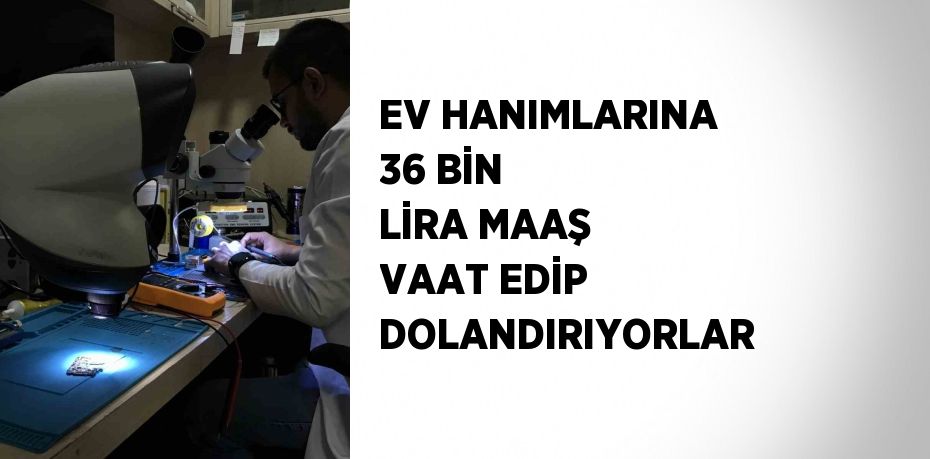 EV HANIMLARINA 36 BİN LİRA MAAŞ VAAT EDİP DOLANDIRIYORLAR