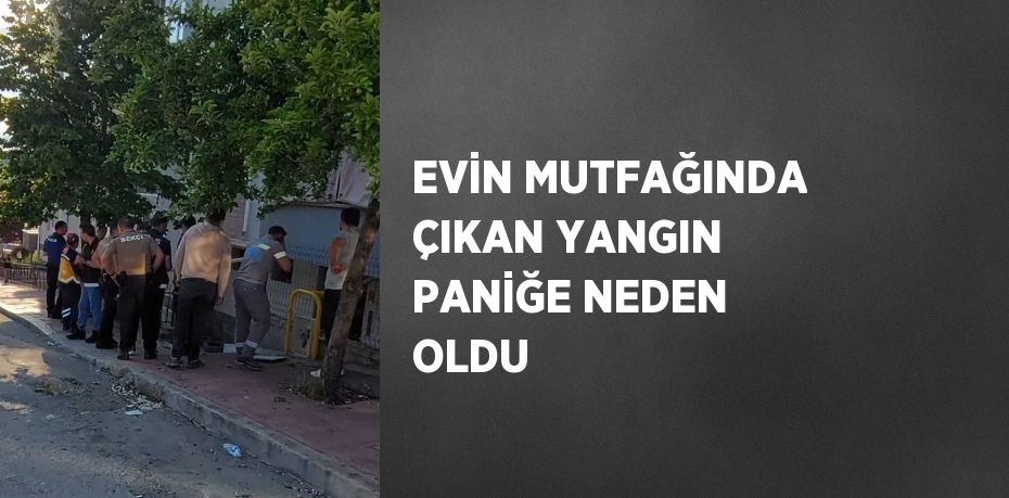 EVİN MUTFAĞINDA ÇIKAN YANGIN PANİĞE NEDEN OLDU