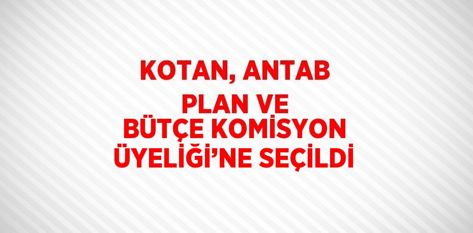 KOTAN, ANTAB PLAN VE BÜTÇE KOMİSYON ÜYELİĞİ’NE SEÇİLDİ