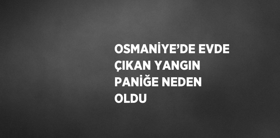 OSMANİYE’DE EVDE ÇIKAN YANGIN PANİĞE NEDEN OLDU