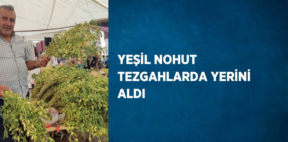 YEŞİL NOHUT TEZGAHLARDA YERİNİ ALDI