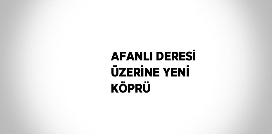 AFANLI DERESİ ÜZERİNE YENİ KÖPRÜ