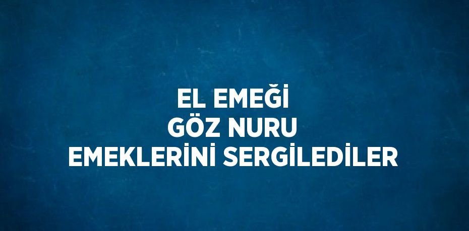 EL EMEĞİ GÖZ NURU EMEKLERİNİ SERGİLEDİLER