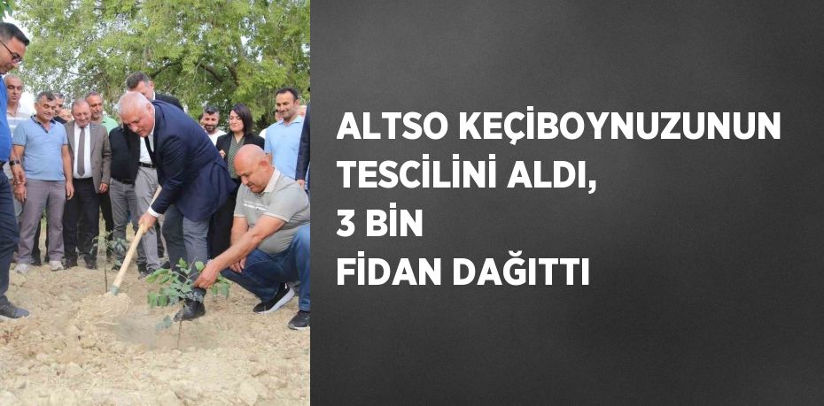 ALTSO KEÇİBOYNUZUNUN TESCİLİNİ ALDI, 3 BİN FİDAN DAĞITTI