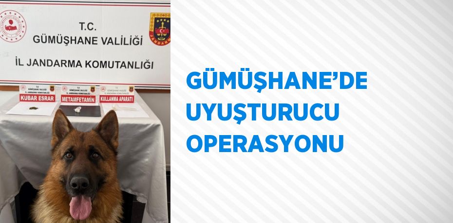 GÜMÜŞHANE’DE UYUŞTURUCU OPERASYONU