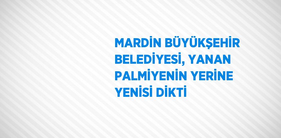 MARDİN BÜYÜKŞEHİR BELEDİYESİ, YANAN PALMİYENİN YERİNE YENİSİ DİKTİ