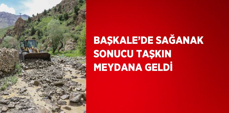 BAŞKALE’DE SAĞANAK SONUCU TAŞKIN MEYDANA GELDİ