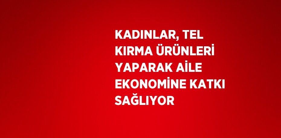 KADINLAR, TEL KIRMA ÜRÜNLERİ YAPARAK AİLE EKONOMİNE KATKI SAĞLIYOR