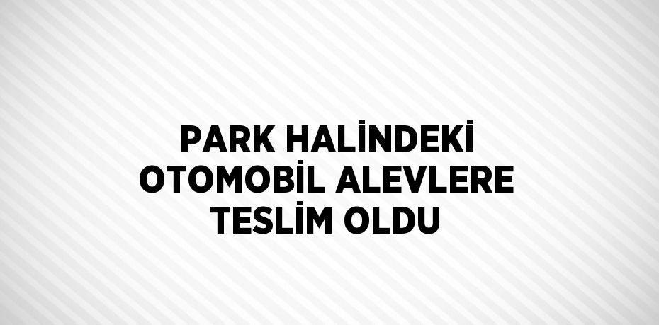 PARK HALİNDEKİ OTOMOBİL ALEVLERE TESLİM OLDU