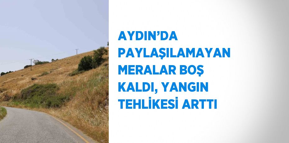 AYDIN’DA PAYLAŞILAMAYAN MERALAR BOŞ KALDI, YANGIN TEHLİKESİ ARTTI
