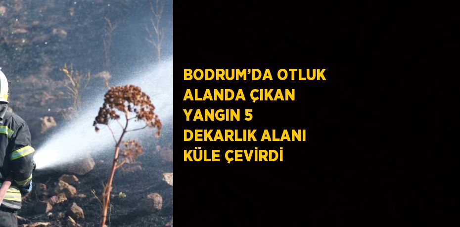 BODRUM’DA OTLUK ALANDA ÇIKAN YANGIN 5 DEKARLIK ALANI KÜLE ÇEVİRDİ