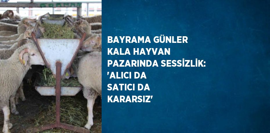 BAYRAMA GÜNLER KALA HAYVAN PAZARINDA SESSİZLİK: 'ALICI DA SATICI DA KARARSIZ'
