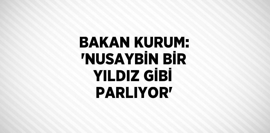 BAKAN KURUM: 'NUSAYBİN BİR YILDIZ GİBİ PARLIYOR'