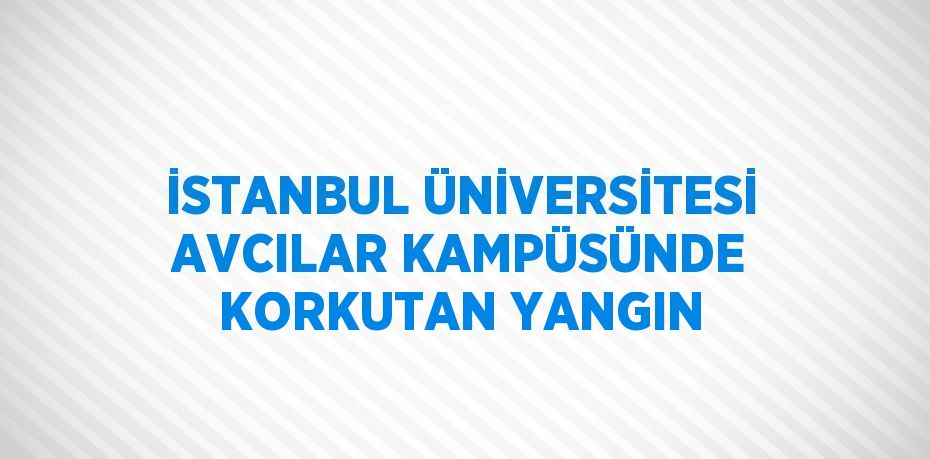 İSTANBUL ÜNİVERSİTESİ AVCILAR KAMPÜSÜNDE KORKUTAN YANGIN