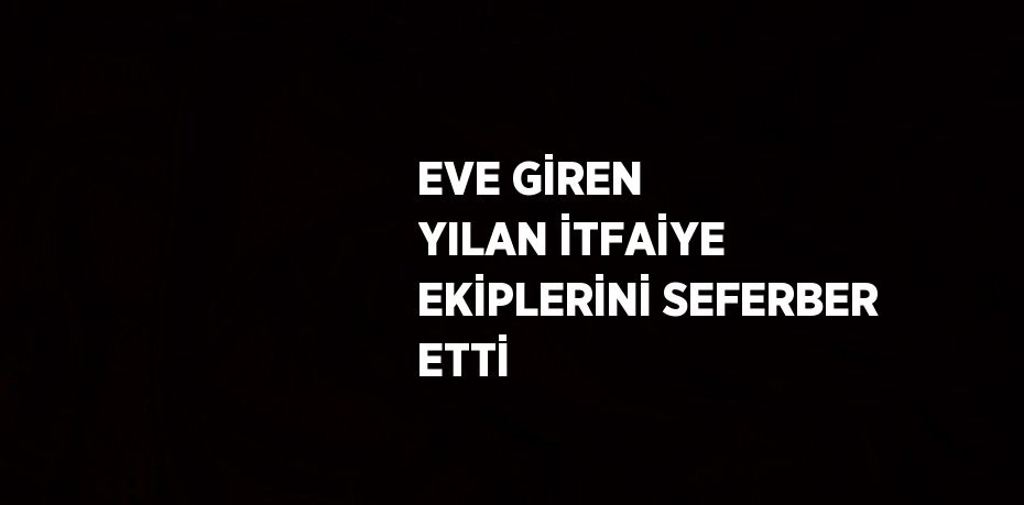 EVE GİREN YILAN İTFAİYE EKİPLERİNİ SEFERBER ETTİ