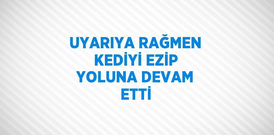 UYARIYA RAĞMEN KEDİYİ EZİP YOLUNA DEVAM ETTİ
