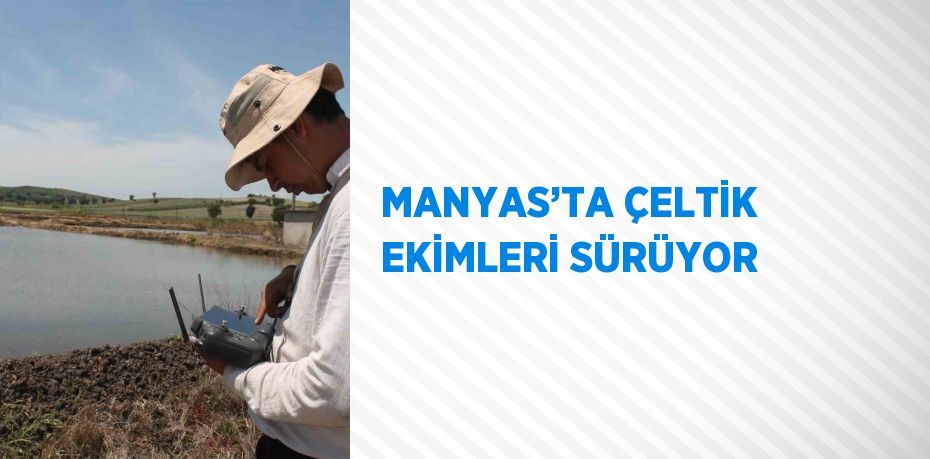 MANYAS’TA ÇELTİK EKİMLERİ SÜRÜYOR
