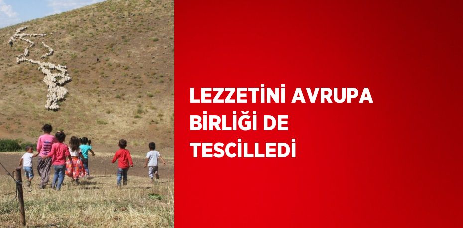LEZZETİNİ AVRUPA BİRLİĞİ DE TESCİLLEDİ