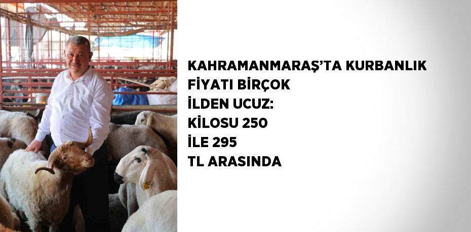KAHRAMANMARAŞ’TA KURBANLIK FİYATI BİRÇOK İLDEN UCUZ: KİLOSU 250 İLE 295 TL ARASINDA