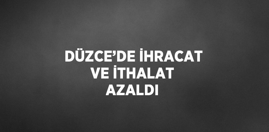 DÜZCE’DE İHRACAT VE İTHALAT AZALDI