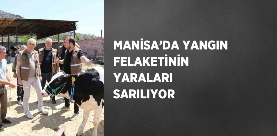 MANİSA’DA YANGIN FELAKETİNİN YARALARI SARILIYOR