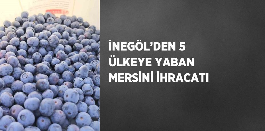 İNEGÖL’DEN 5 ÜLKEYE YABAN MERSİNİ İHRACATI